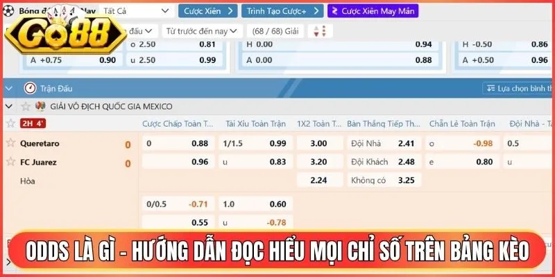 Odds Là Gì - Hướng Dẫn Đọc Hiểu Mọi Chỉ Số Trên Bảng Kèo